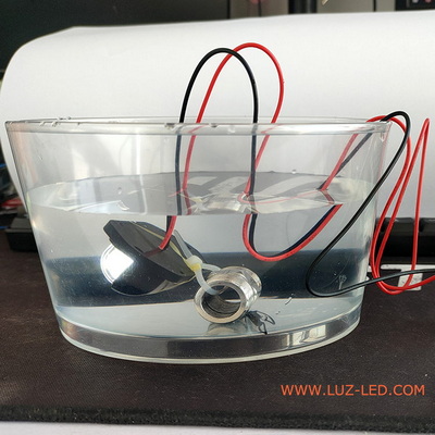 IP67 water test for license bulb